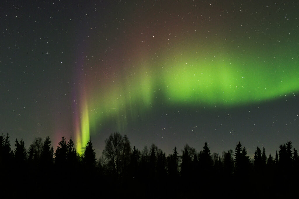 aurora borealis, alberta aurora chasers, northern lights, yyc aurora, Fairbanks aurora, Christy turner