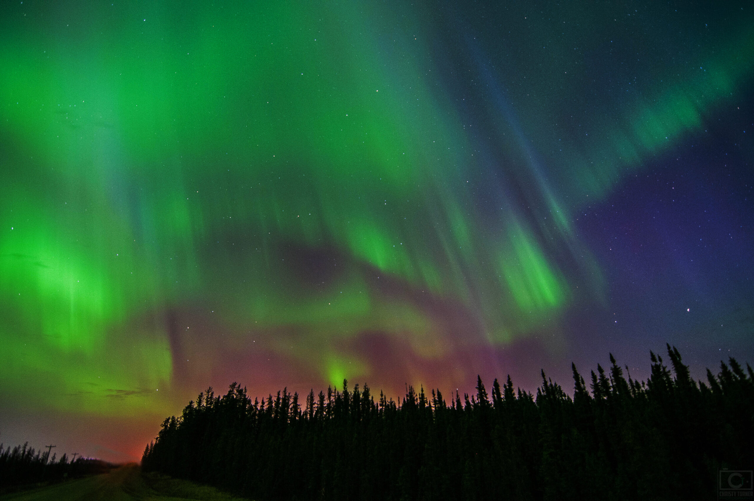 aurora borealis, aurora chaser, Alberta aurora chaser, Christy Turner, northern lights