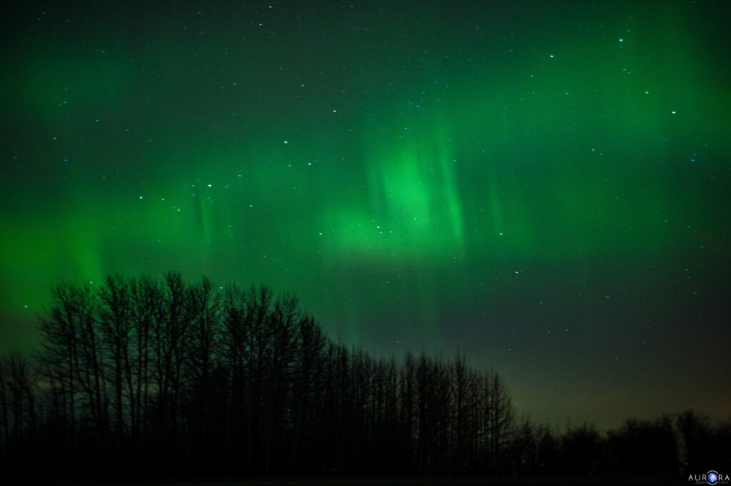 February 14 2023 aurora borealis