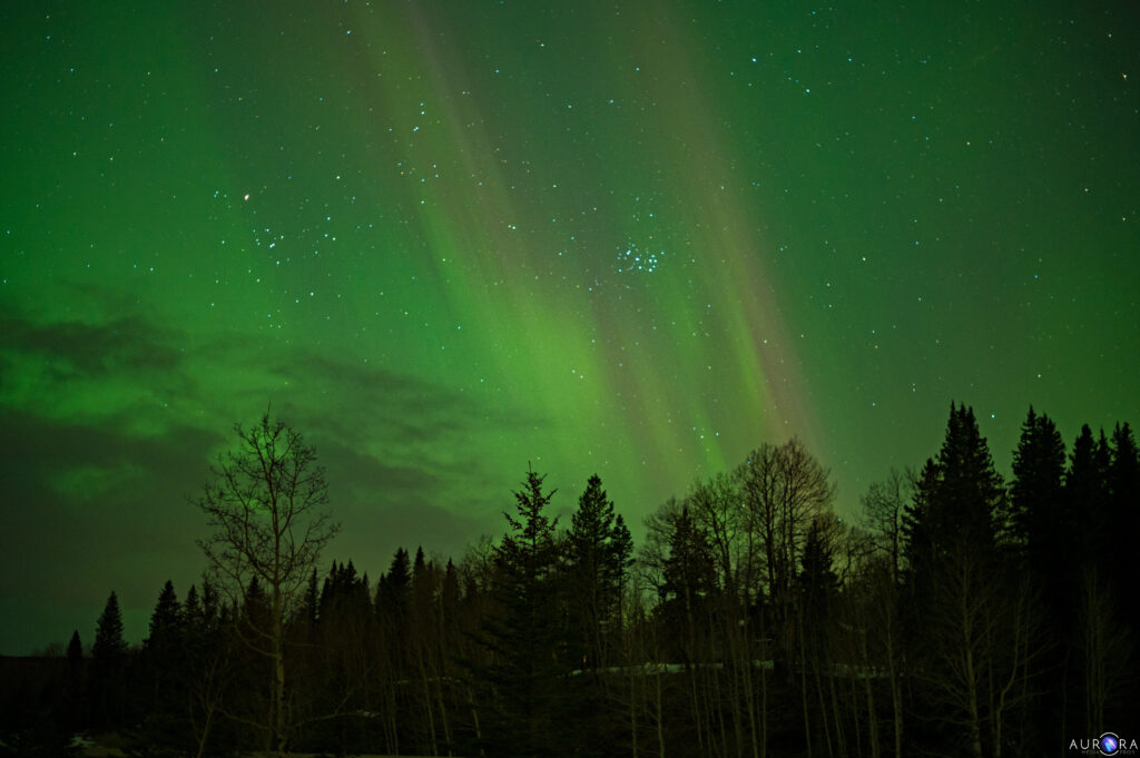 aurora borealis, march 24, 2023, northern lights, aurora chaser